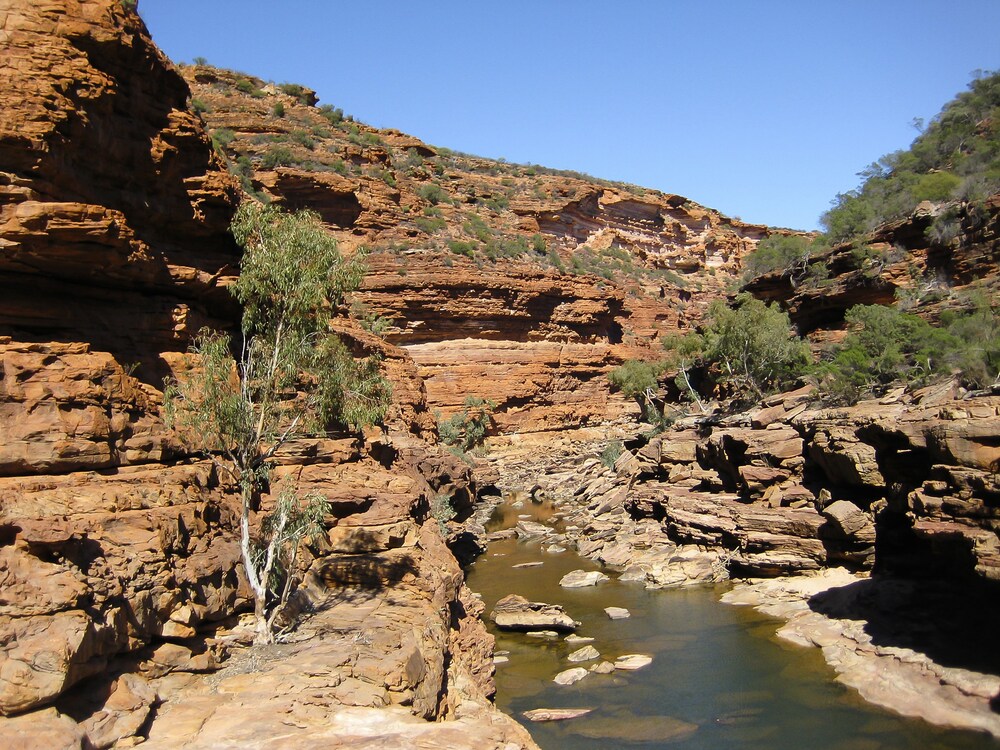 Kalbarri Palm Resort