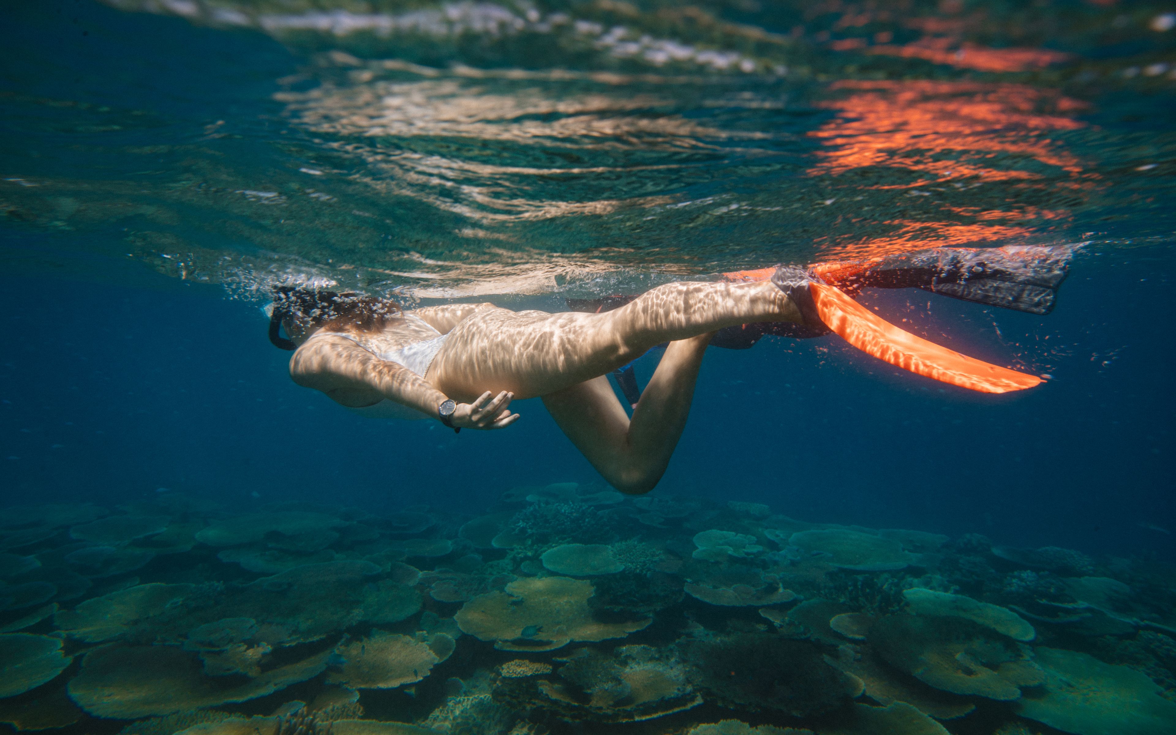 Orpheus Island Lodge