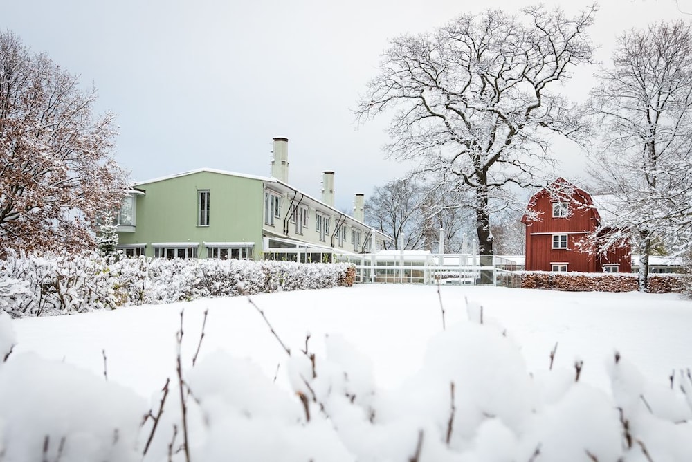 Property grounds, Villa Källhagen