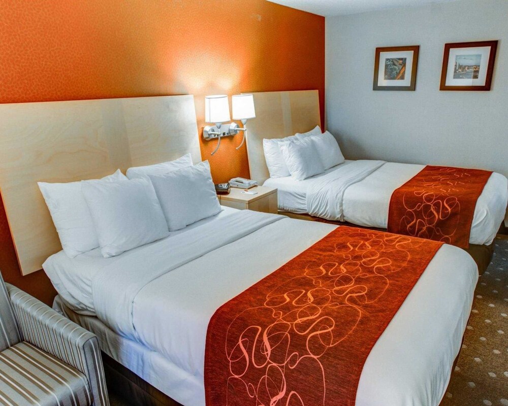 Room, Comfort Suites