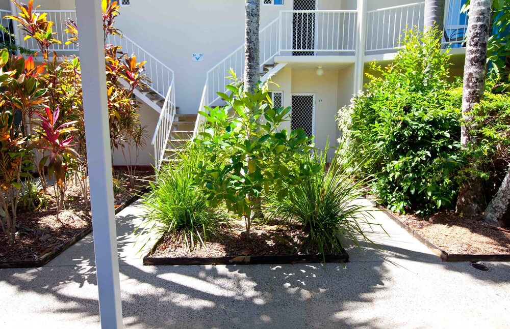 Garden, Trinity Beach Pacific