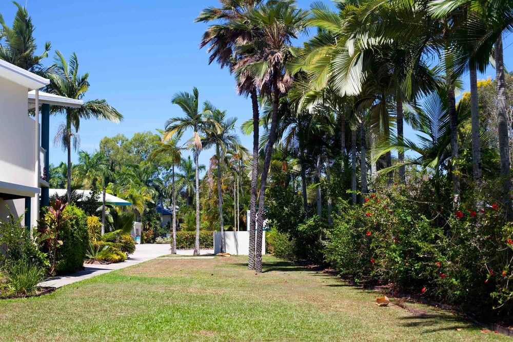 Garden, Trinity Beach Pacific