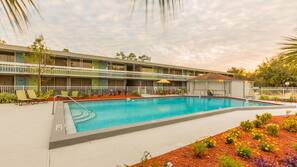 Indoor pool, 2 outdoor pools, sun loungers