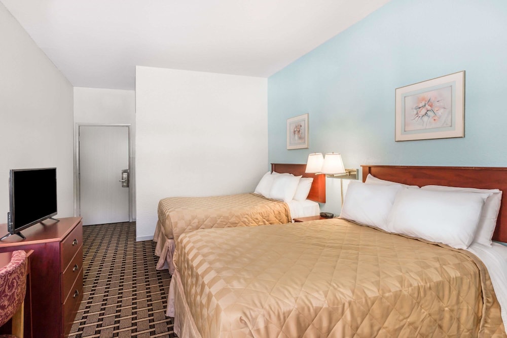 Room, Super 8 by Wyndham Knoxville Downtown Area