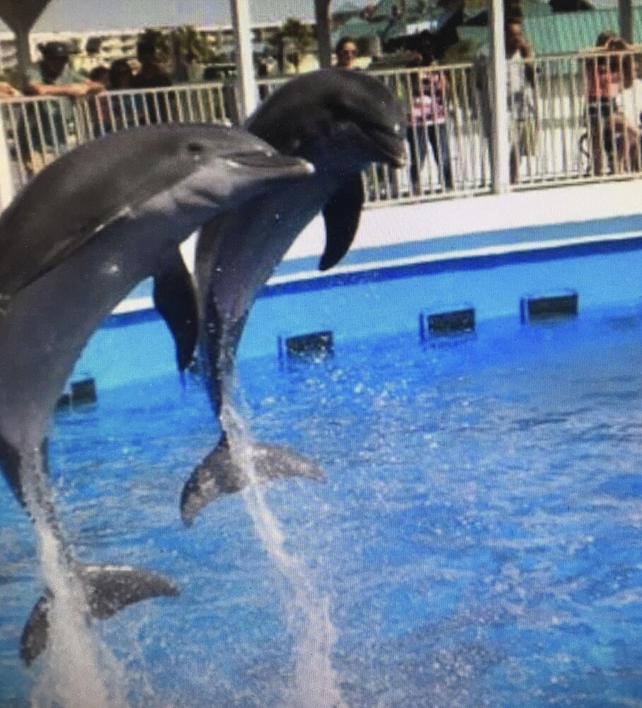 Baymont by Wyndham Fort Walton Beach Mary Esther in Mary Esther Best