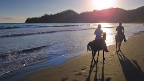 On the beach, black sand, free beach shuttle, sun loungers