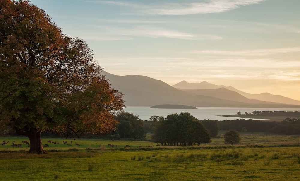 Muckross Park Hotel & Spa