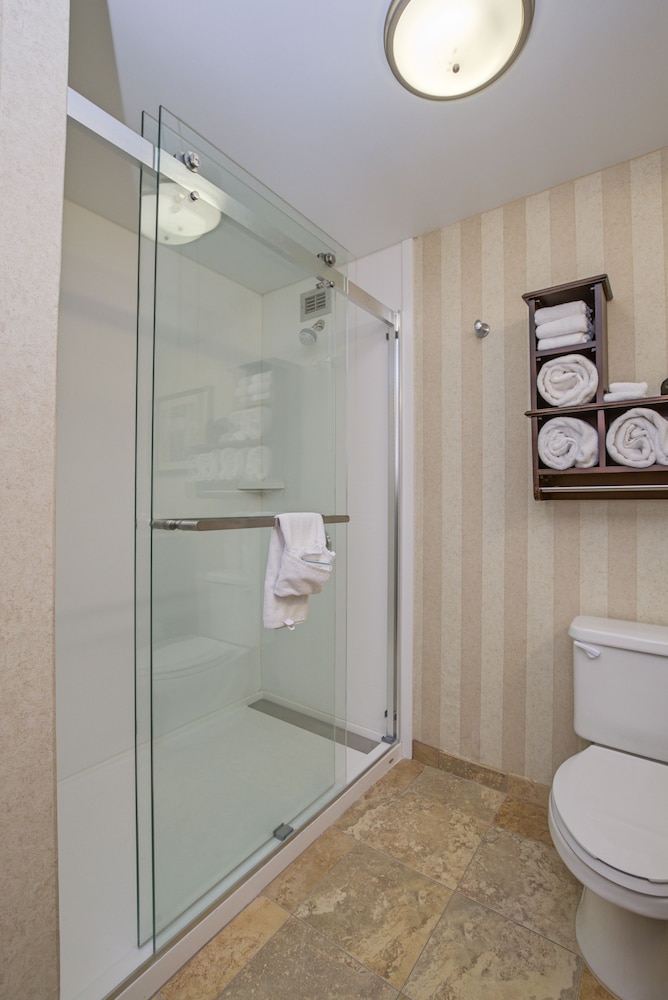 Bathroom shower, Hampton Inn Portsmouth Central