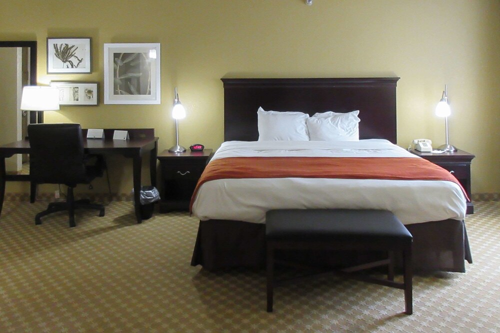 Room, Quality Inn & Suites