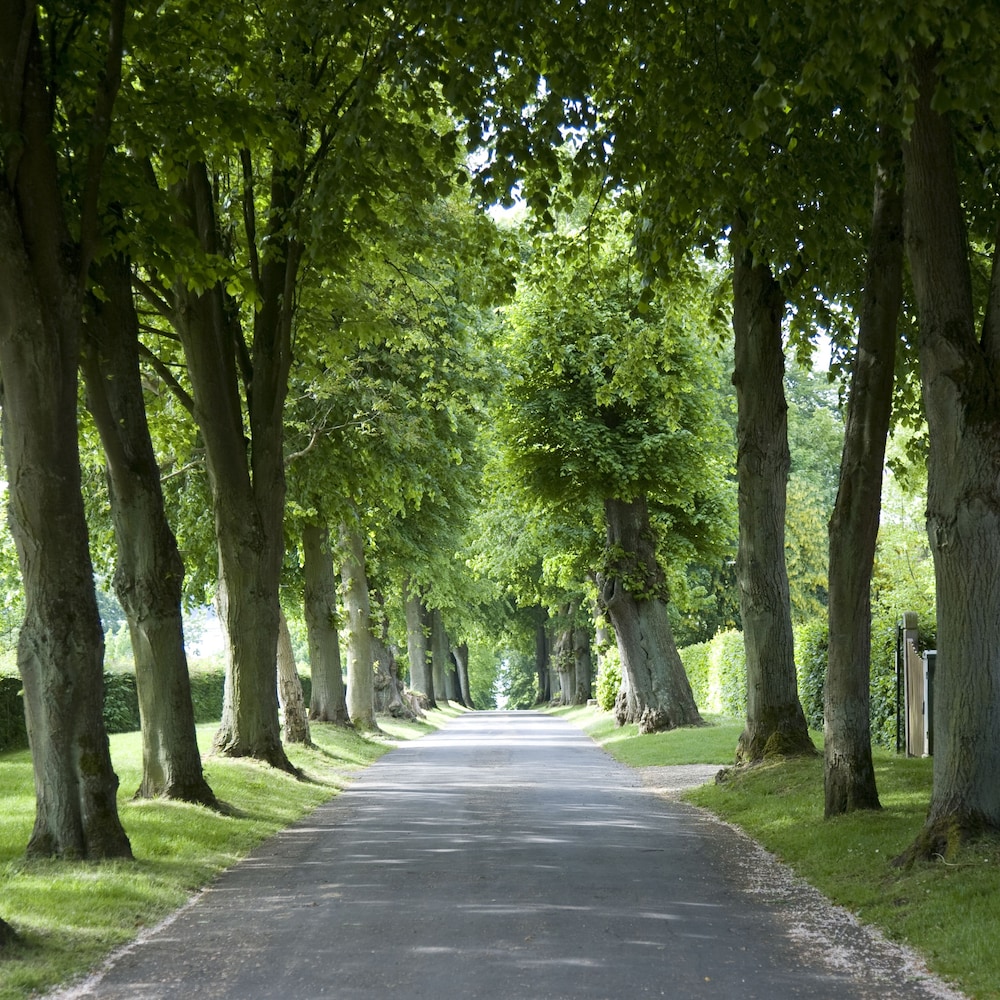 Hindsgavl slot denmark