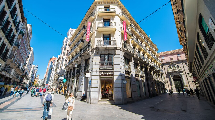 Petit Palace Preciados