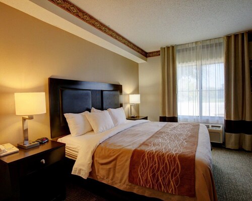 Comfort Inn Suites In Seguin Cheap Hotel Deals Rates Hotel