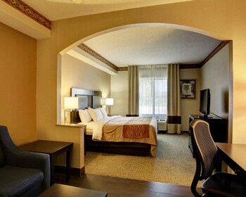 Comfort Inn Suites In Seguin Cheap Hotel Deals Rates Hotel
