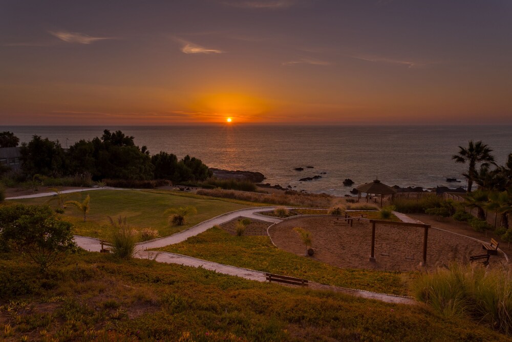Nh Iquique 2019 Pictures Reviews Prices Deals Expediaca - 