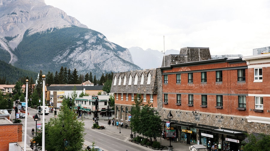 Mount Royal Hotel