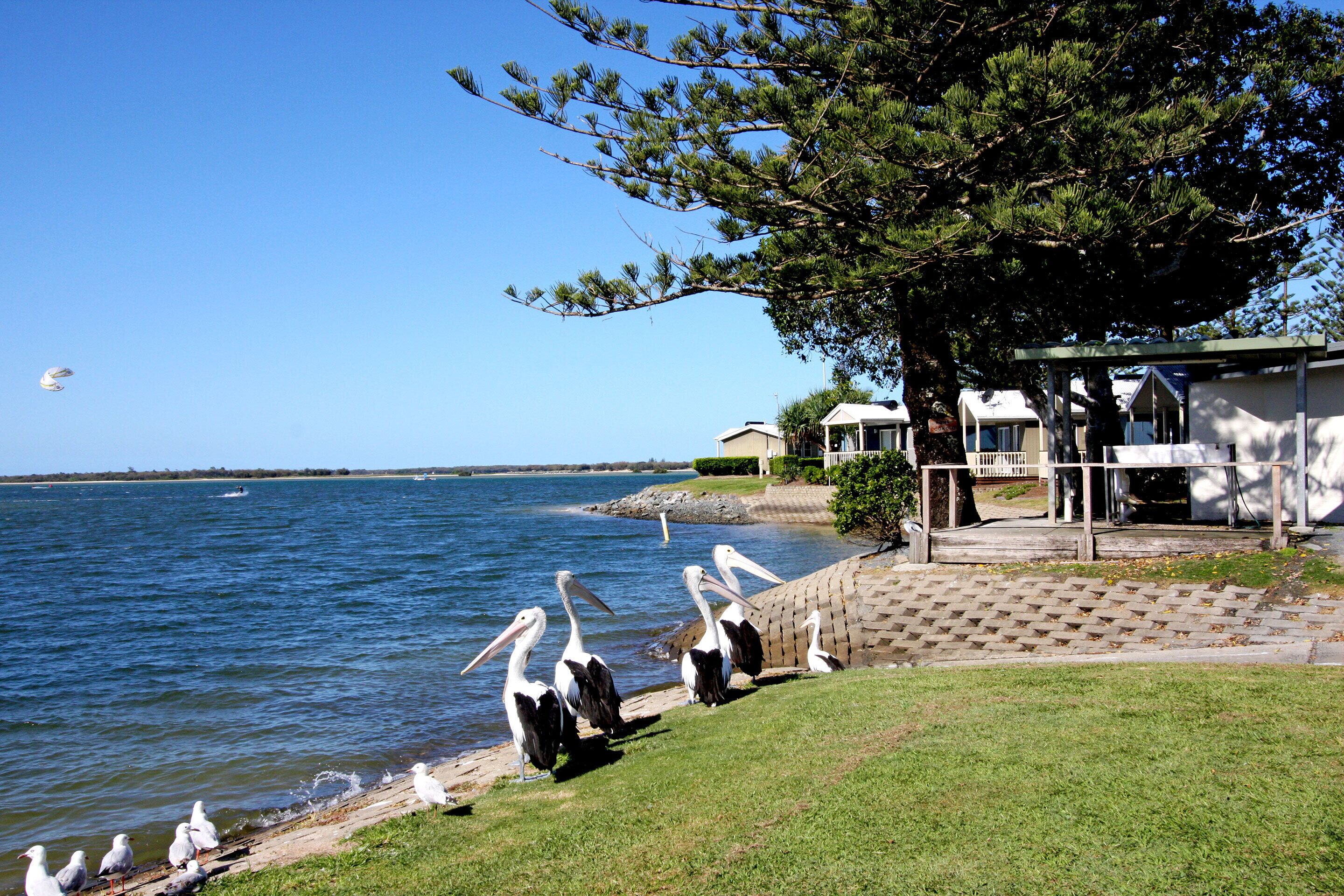 Broadwater Tourist Park