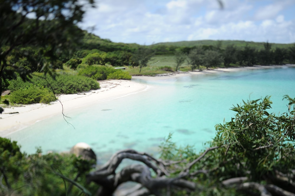 Lizard Island Resort AU1,597 Deals & Reviews (Lizard Island, AUS) Wotif