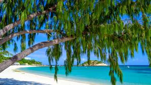 Plage privée, sable blanc, chaises longues, parasols