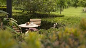Terras