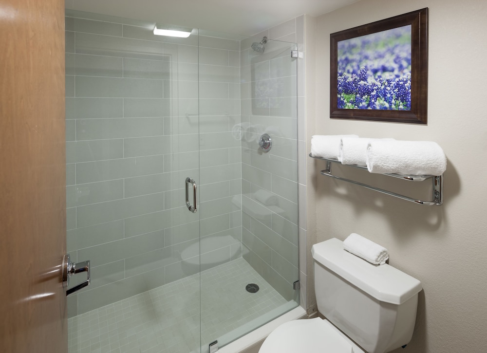 Bathroom shower, SpringHill Suites Dallas Downtown / West End