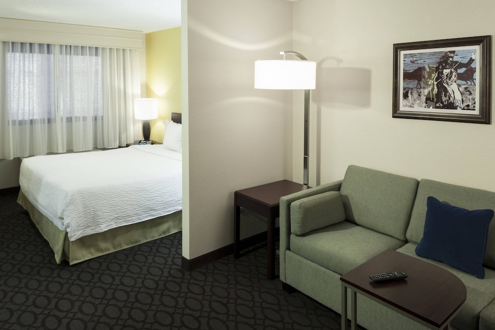 SpringHill Suites Dallas Downtown / West End