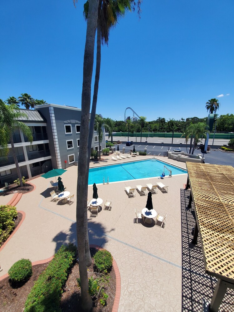 Pool, La Quinta Inn by Wyndham Tampa Near Busch Gardens