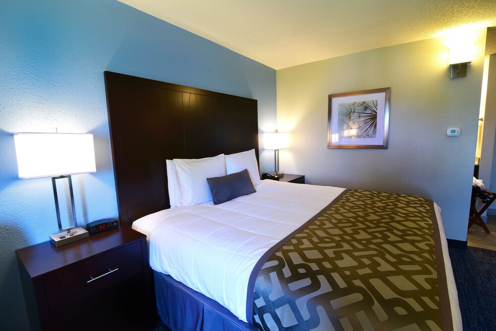 Best Western Plus Flint Airport Inn & Suites