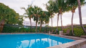 Outdoor pool, sun loungers
