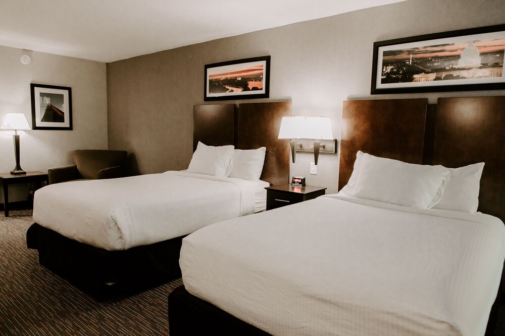 Room, Wingate by Wyndham Chantilly / Dulles Airport