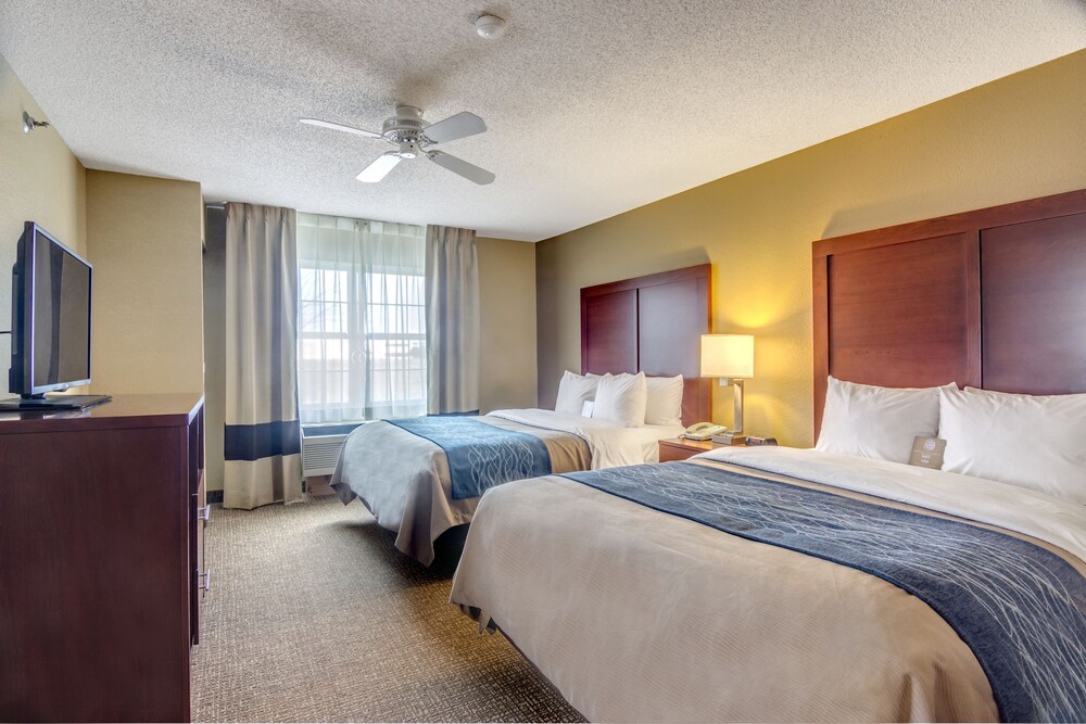 Room, Comfort Inn & Suites Grafton - Cedarburg