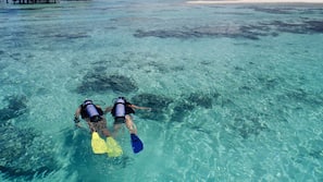 Spiaggia privata, sabbia bianca, lettini da mare, ombrelloni
