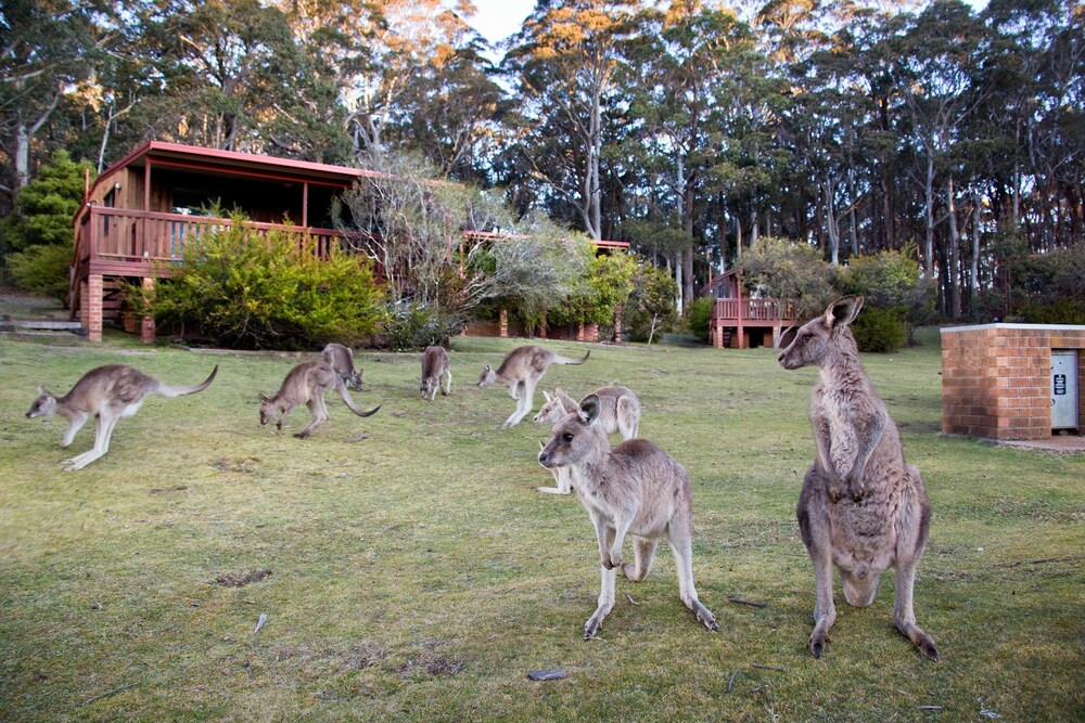 Jenolan Caves House