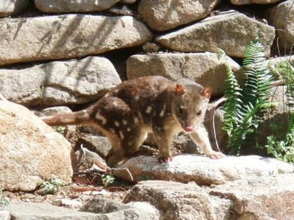 Jenolan Caves House