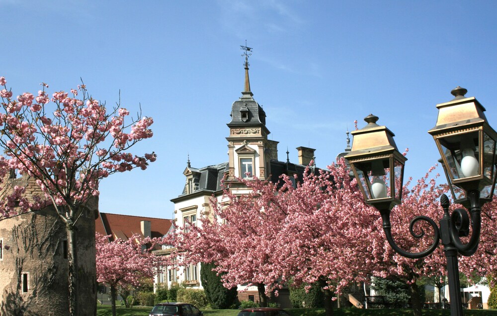 Château de l'Ile & Spa in Ostwald | Best Rates & Deals on Orbitz