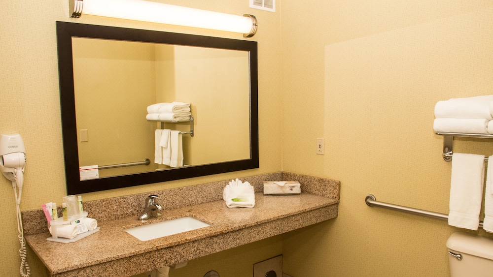 Holiday Inn Express Hotel & Suites Saginaw, an IHG Hotel