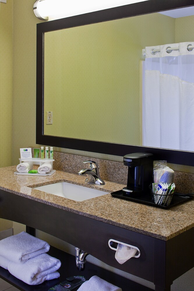 Holiday Inn Express Hotel & Suites Saginaw, an IHG Hotel