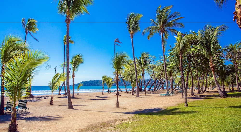 Barceló Tambor 2018 Room Prices 302 Deals Reviews Expedia Barceló Tambor 4 0 Out Of 5