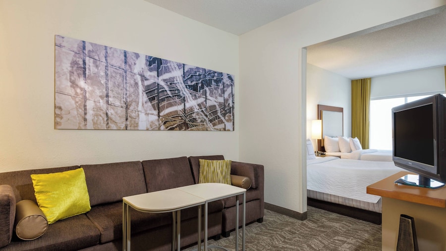 Springhill Suites By Marriott Louisville Hurstbourne North