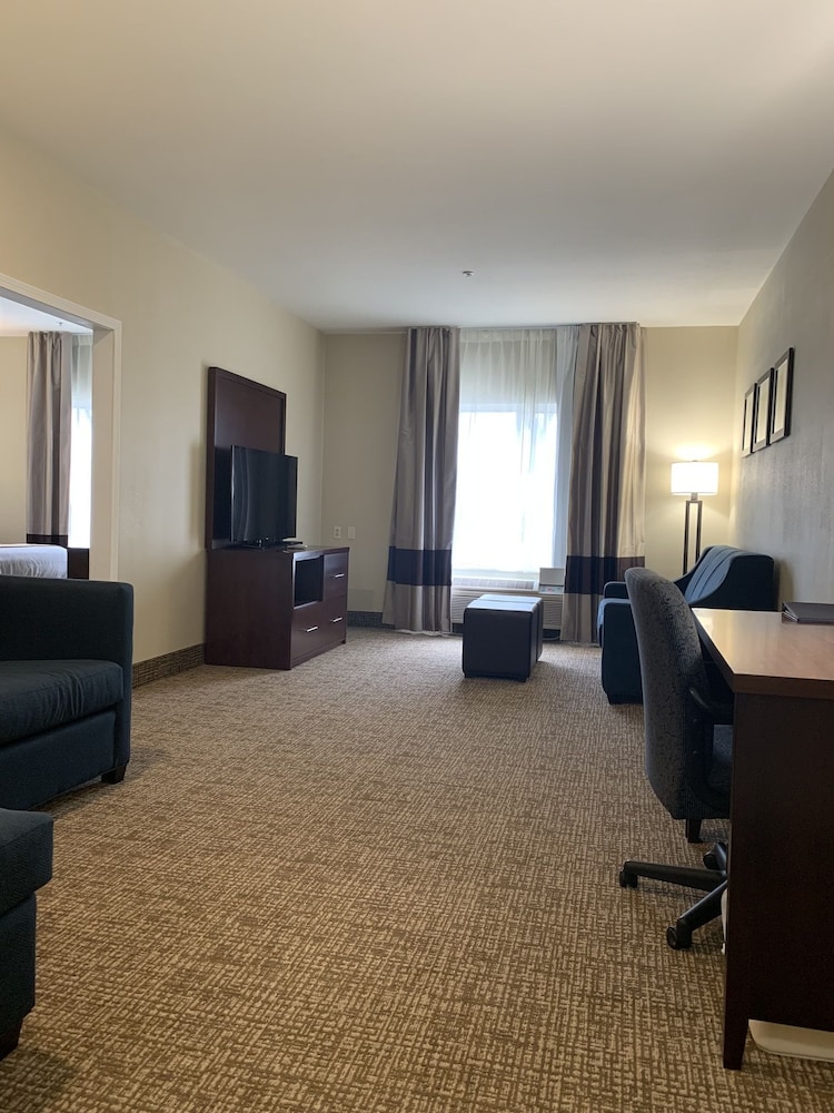 Room, Comfort Suites Auburn near I-69