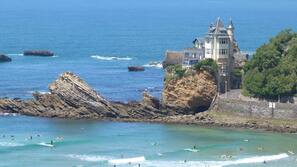 Beach nearby, surfing