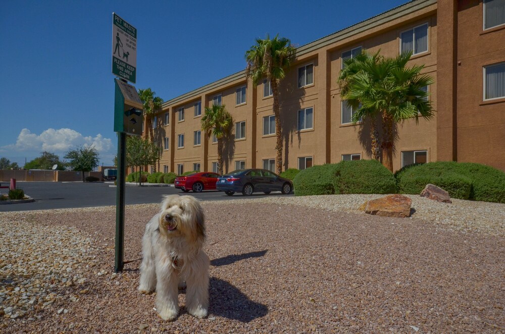 Holiday Inn Express Las Vegas-Nellis, an IHG Hotel