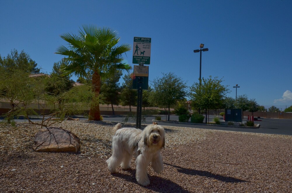 Holiday Inn Express Las Vegas-Nellis, an IHG Hotel