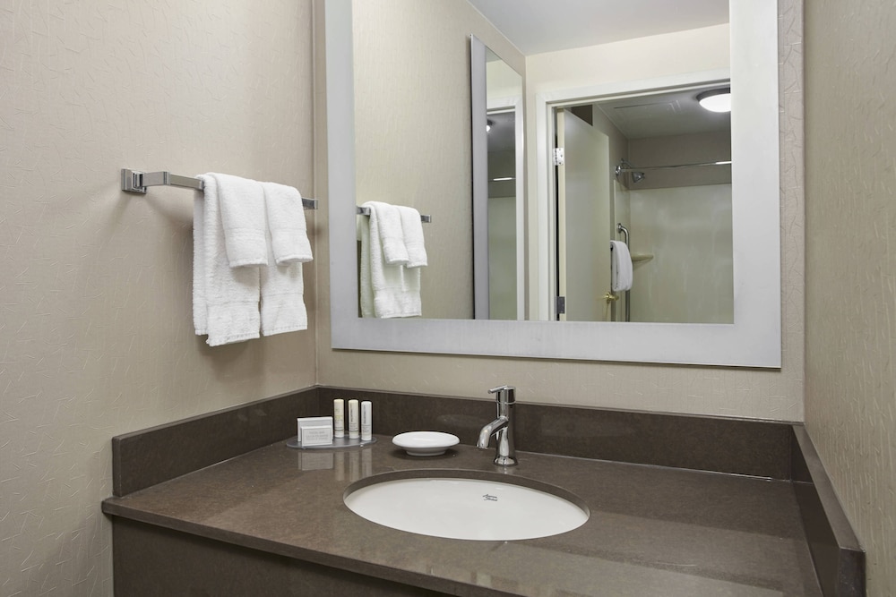 SpringHill Suites by Marriott Chicago Schaumburg/Woodfield