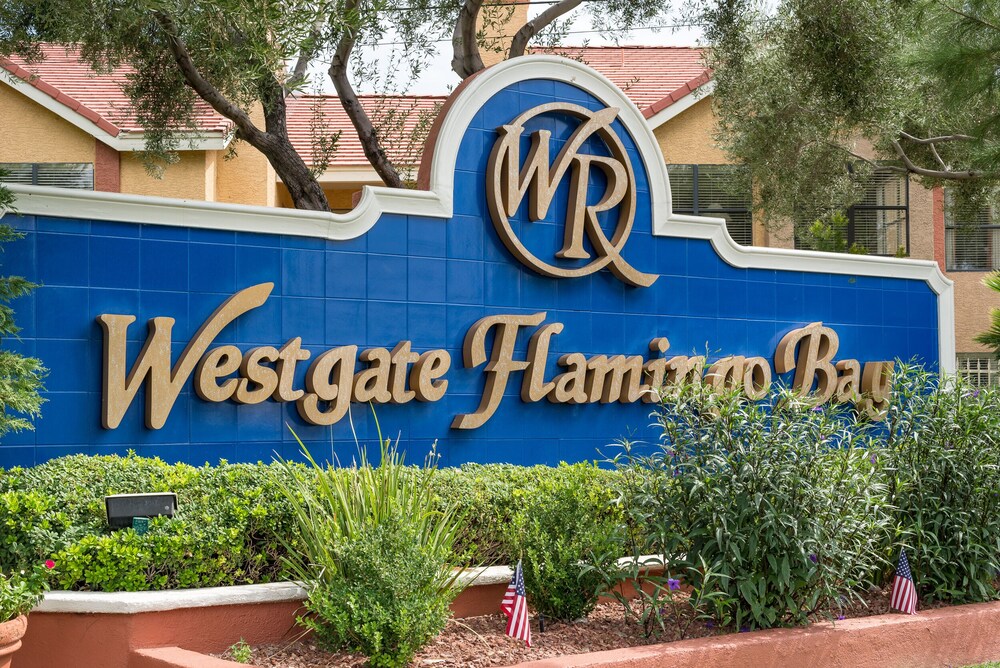 westgate flamingo bay resort las vegas nevada westgate flamingo bay resort las vegas nevada