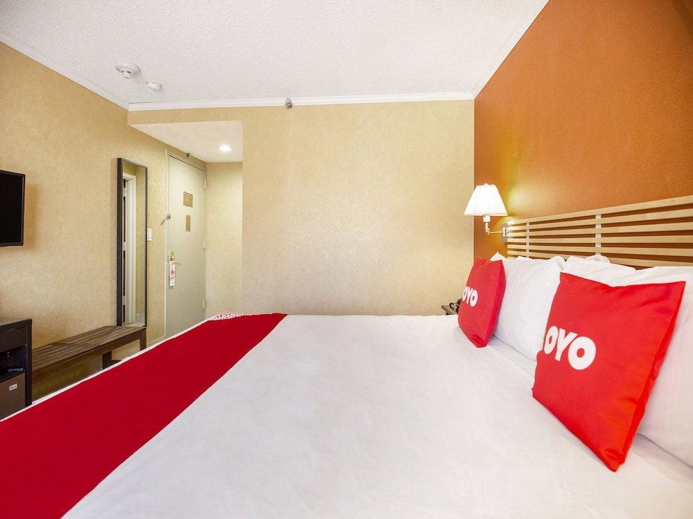 Oyo hotel las vegas airport shuttle spinpastor