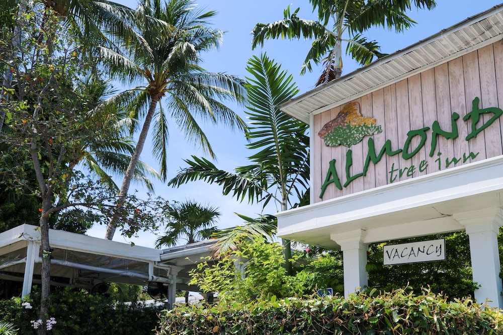 Almond Tree Inn Hotel Adults Only in Key West Best Rates & Deals on
