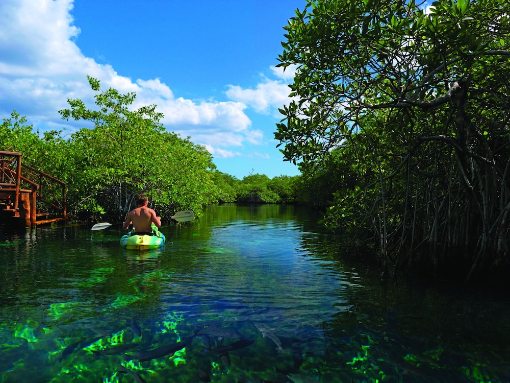 Bel Air Collection Resort & Spa Riviera Maya in Xpu Ha, Mexico