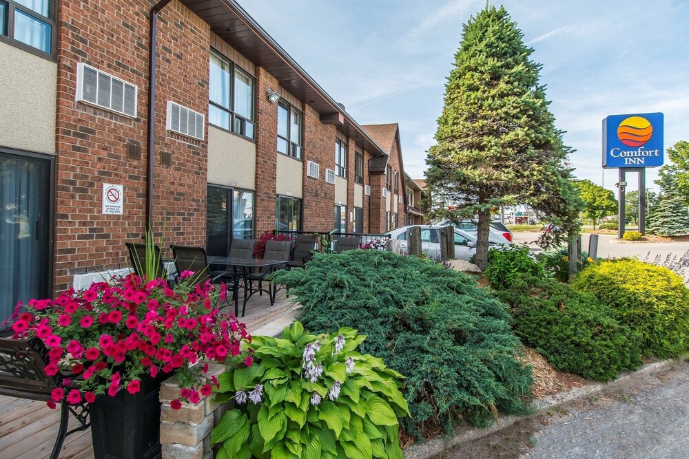 Comfort Inn Sault Ste Marie Canada In Sault Ste Marie Hotel