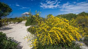 Am Strand, weißer Sandstrand, Liegestühle, Sonnenschirme