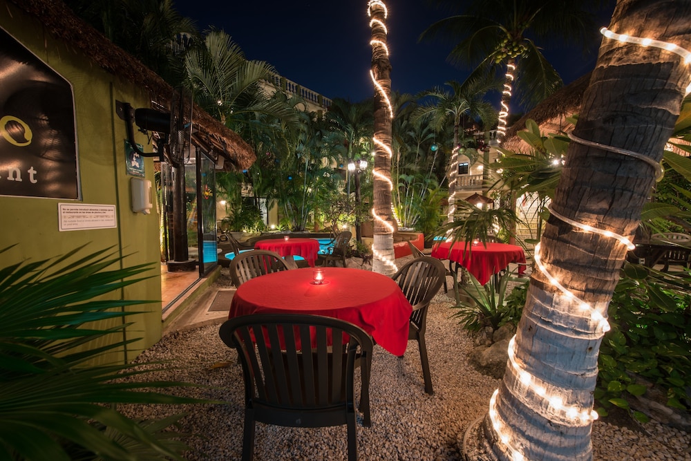 Gay friendly hotels playa del carmen